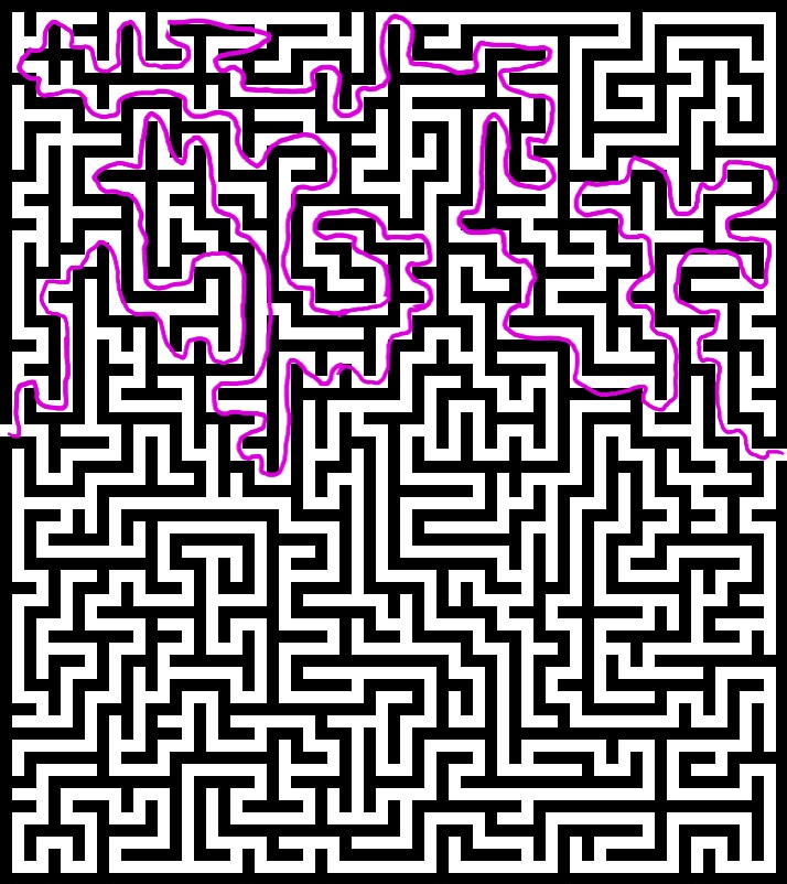 1000010377.jpg