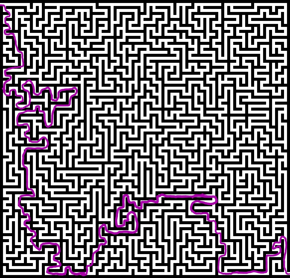 1000010480.jpg