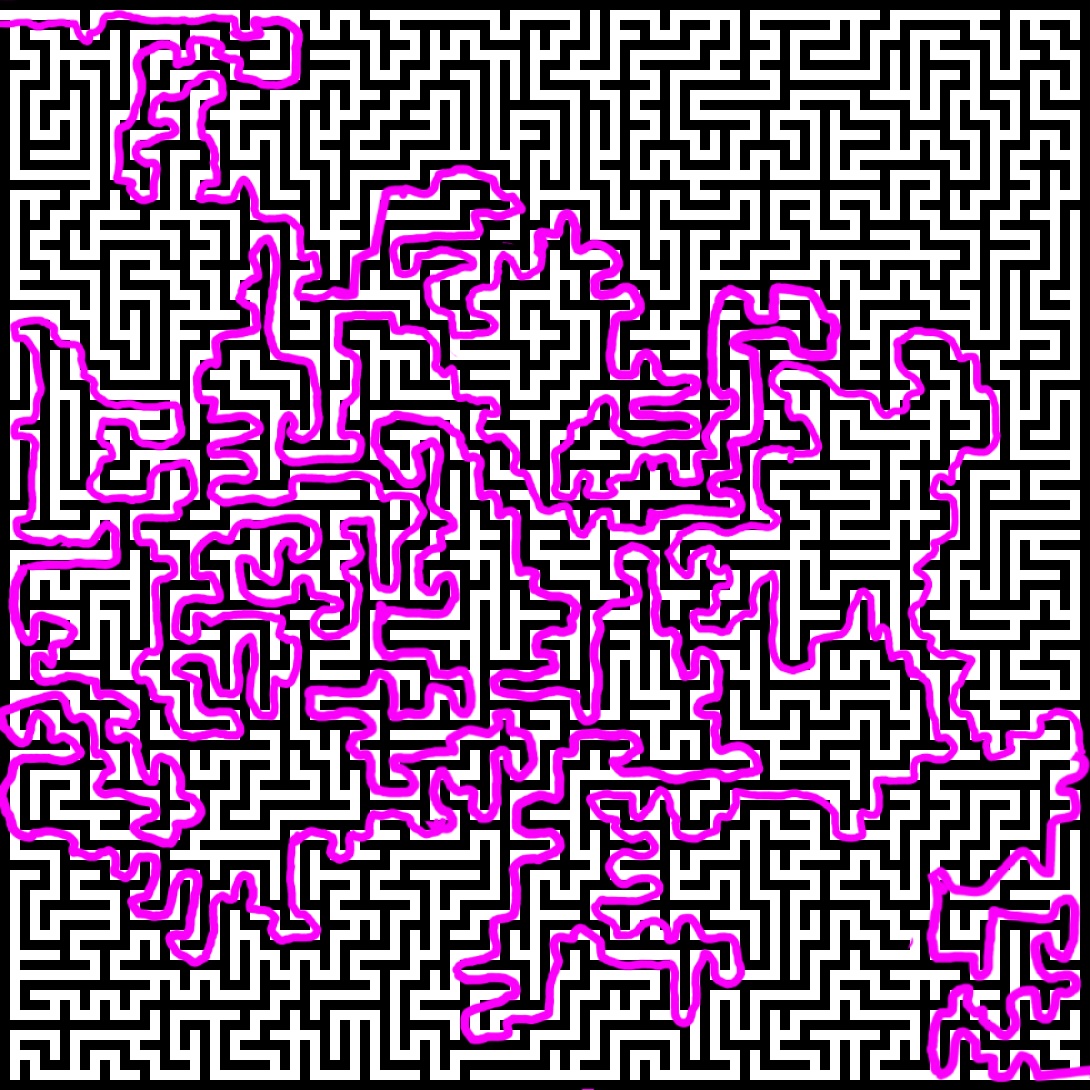 1000010881.jpg