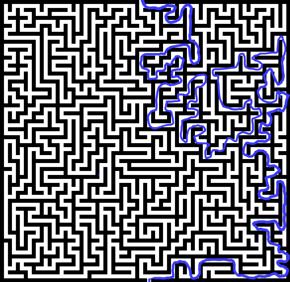 1000011219.jpg