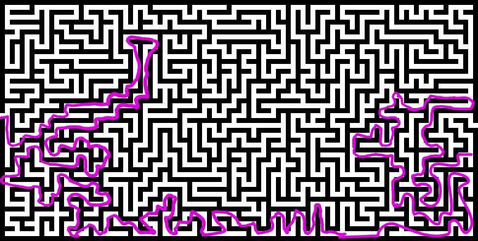 1000011341.jpg