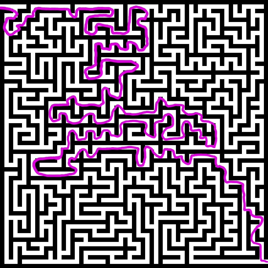 1000011548.jpg