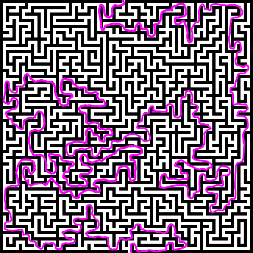 1000011709.jpg
