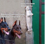 Group 167.png