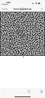 IMG_7644.jpeg