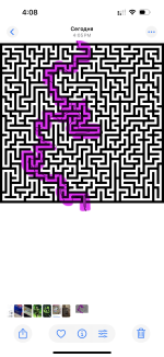 IMG_7645.png