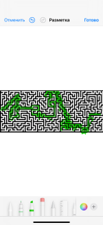 IMG_7664.png