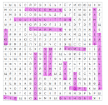 1000011954.png